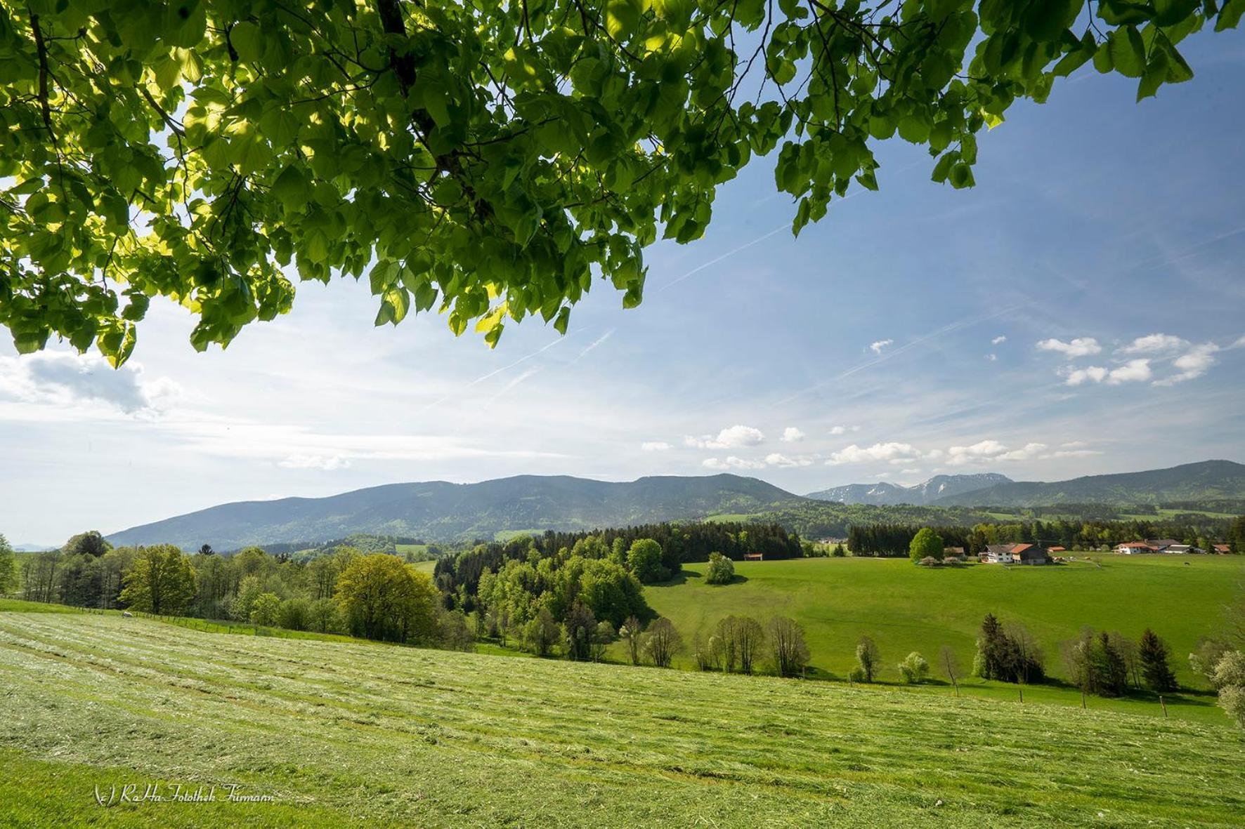 Monteurzimmer Am Teisenberg Neukirchen am Teisenberg Exteriör bild